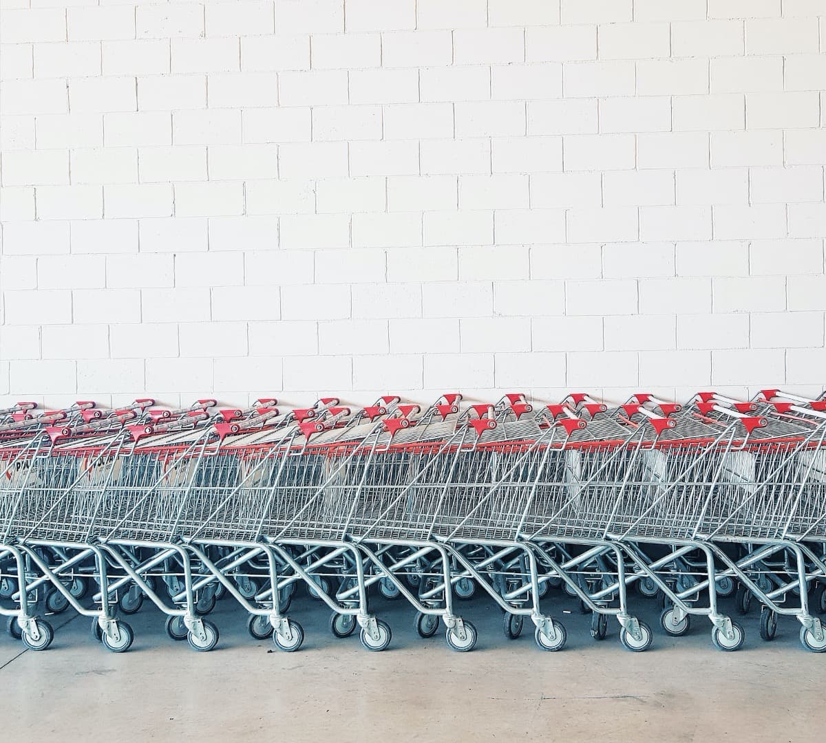 Several shopping carts pushed together and lined up against a white brick wall.